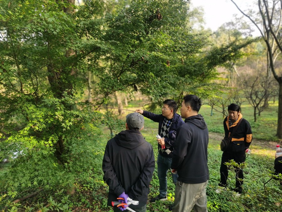 1731549508604 1730790633652