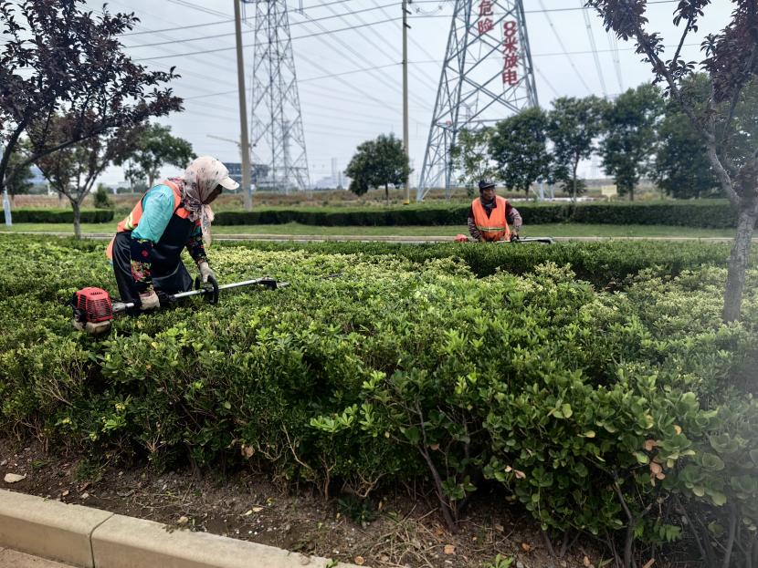 1759457971612 大浦5