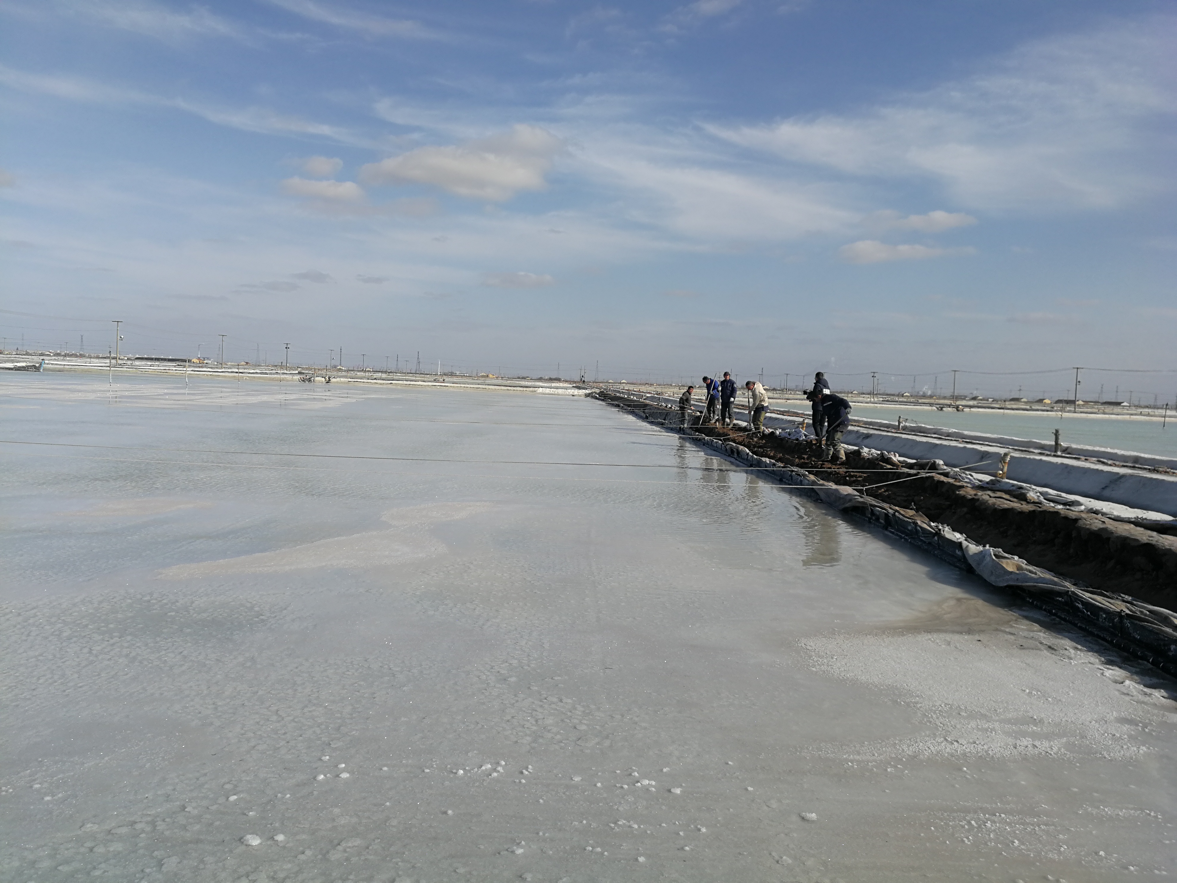 IMG_20230221_151436.jpg IMG_20230221_151436.jpg